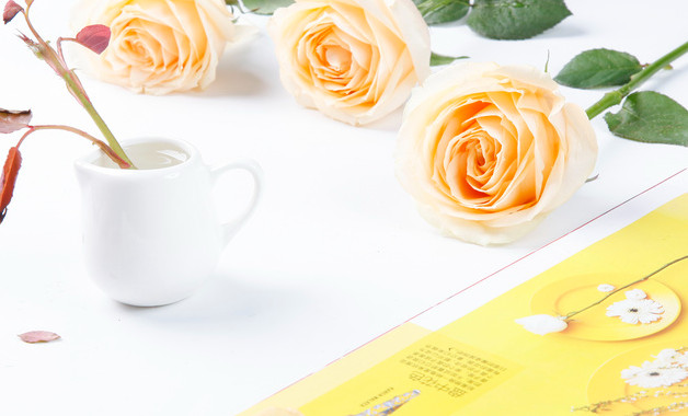 軟件銷售總監崗位職責（十二篇）