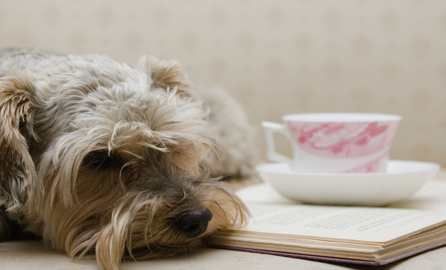 系統(tǒng)管理員工作職責（十二篇）