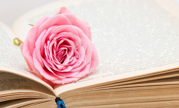 工程管理部工程安全生產督查員工程安全生產管理責任制