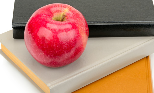 總賬會(huì)計(jì)崗位職責(zé)簡介怎么寫(精選8篇)