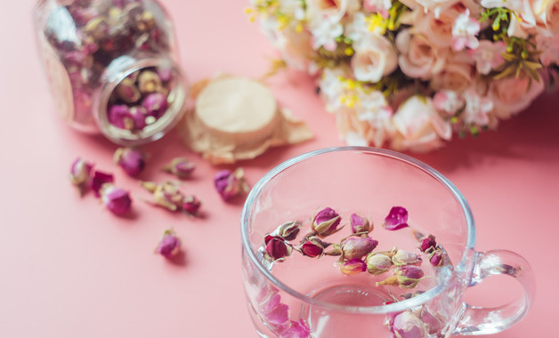 論語譯注楊伯峻讀書心得800字怎么寫（精選8篇）