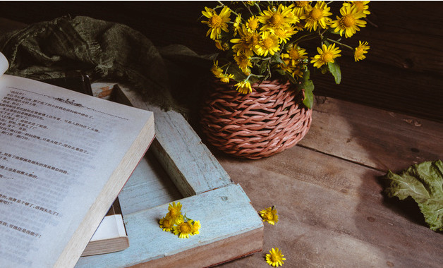 小學語文評課稿模板(20篇范文)