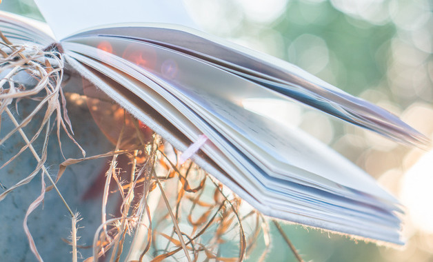 關(guān)于黨員學(xué)習(xí)心得感悟范文怎么寫(精選7篇)