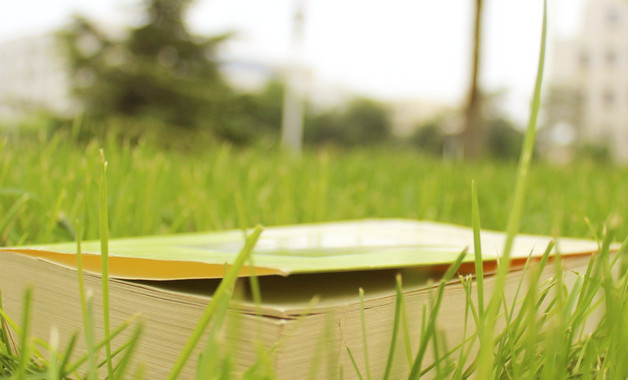 板材貿易公司簡介(5篇范文)