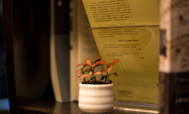 方略研究院高級(jí)咨詢顧問崗位職責(zé)要求(20篇范文)