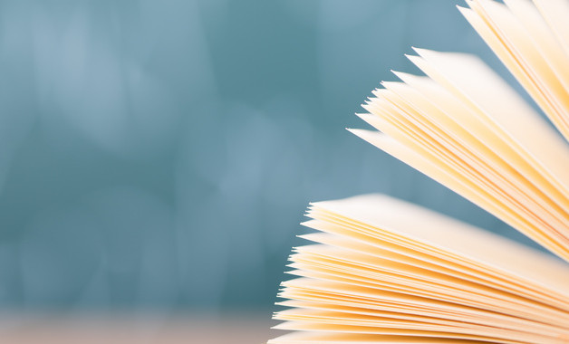 某物業項目安管員管理規定(3篇范文)