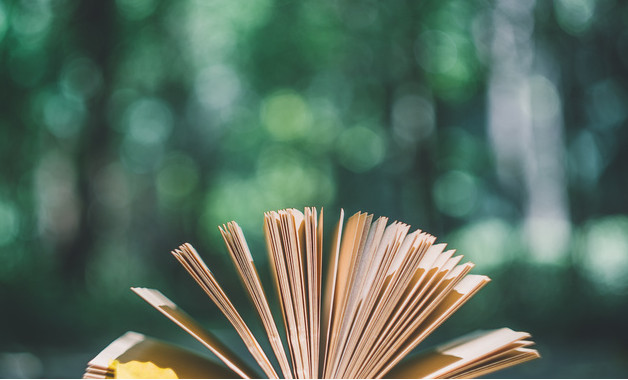 塔式起重機、施工升降機駕駛職業(yè)健康安全操作規(guī)程（四篇）