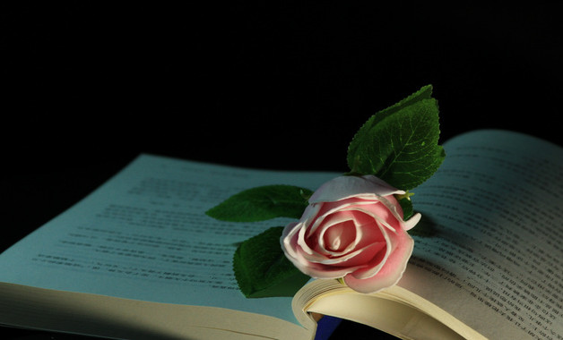 紙品貿易公司簡介(11篇范文)