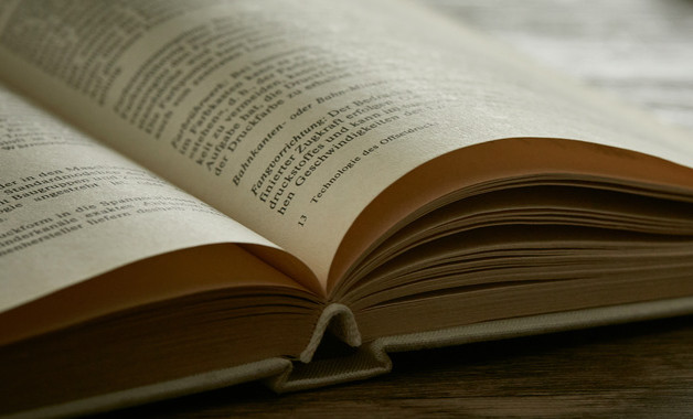 小學語文高效課堂之心得體會分享怎么寫（精選5篇）