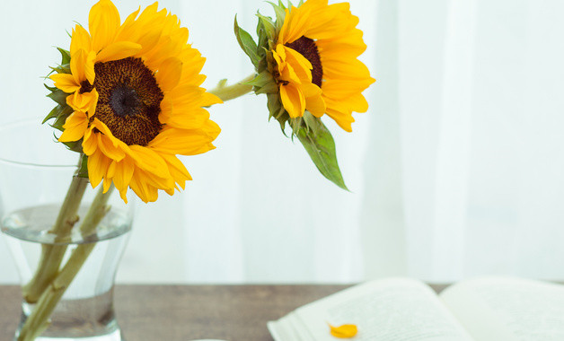 2024年中學年度教學述職報告十二篇 2024年中學年度教學述職報告十二篇