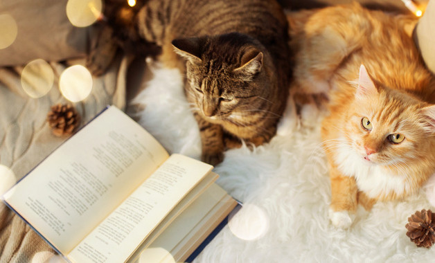 試用期總結報告十篇