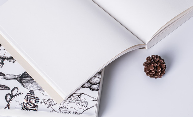 機械設公司經營范圍(100個范本)