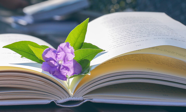 關于項目建設管理日志填寫規定(5篇范文)