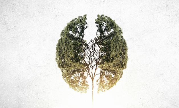 大學生實習報告活動心得十二篇