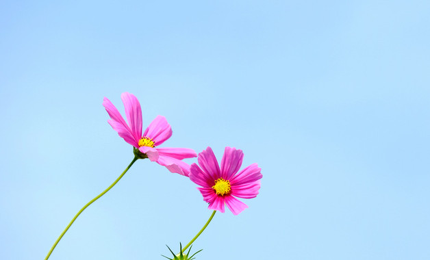 機械五金公司經營范圍（78個范本）