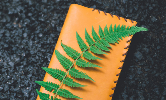 實習生辭職報告最新模板十二篇